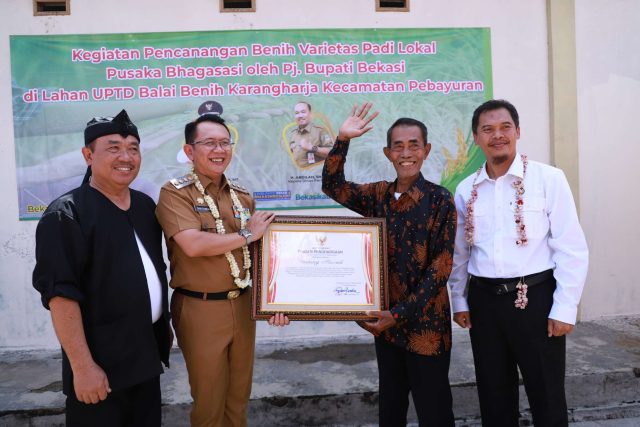 Pj Bupati Bekasi, Dani Ramdan memberikan penghargaan kepada penemu benih Varietas Padi Lokal Pusaka Bhagasasi, Untung Mursidi