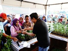 Alun-Alun Kembang Joyo Kembali Menggeliat