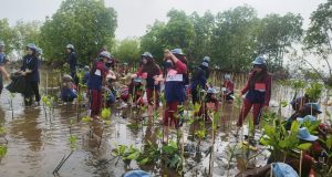Perkuat Benteng Pesisir, Warga Kota Pekalongan Tanam 1.000 Mangrove Perkuat Benteng Pesisir, Warga Kota Pekalongan Tanam 1.000 Mangrove