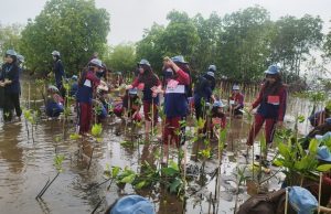Perkuat Benteng Pesisir, Warga Kota Pekalongan Tanam 1.000 Mangrove Perkuat Benteng Pesisir, Warga Kota Pekalongan Tanam 1.000 Mangrove