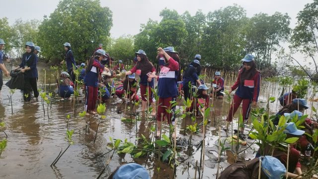 Perkuat Benteng Pesisir, Warga Kota Pekalongan Tanam 1.000 Mangrove