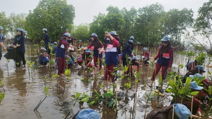 Perkuat Benteng Pesisir, Warga Kota Pekalongan Tanam 1.000 Mangrove Perkuat Benteng Pesisir, Warga Kota Pekalongan Tanam 1.000 Mangrove