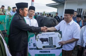 Sapi 906 Kg dari Gubernur Jateng, Kado Iduladha Warga Huntara Tegal Sapi 906 Kg dari Gubernur Jateng, Kado Iduladha Warga Huntara Tegal