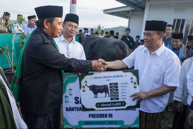 Sapi 906 Kg dari Gubernur Jateng, Kado Iduladha Warga Huntara Tegal