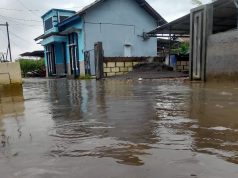 Rob Meluas di Pesisir Pati, DPRD Dorong Penanganan Khusus dari Pemerintah Pusat