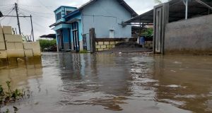 Rob Meluas di Pesisir Pati, DPRD Dorong Penanganan Khusus dari Pemerintah Pusat