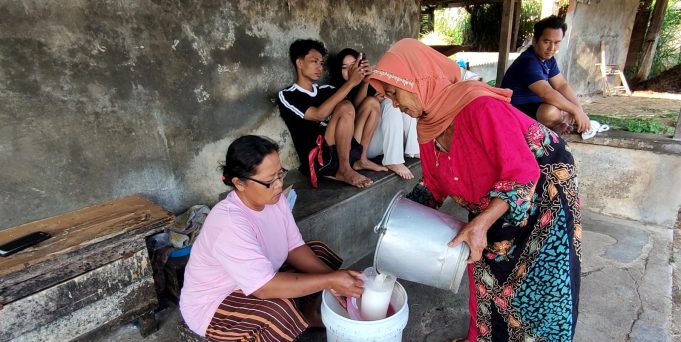 Pemprov Jateng Dorong Peternak Gunakan Silase Untuk Jaga Produksi Susu Saat Kemarau