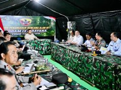 Pemerintah Perkuat Sistem Peringatan Dini Tsunami Pascagempa Flores