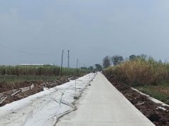 DPUTR Pati Benahi Jalur Alternatif Runting-Purworejo Sampang, Warga Diharapkan Lebih Nyaman
