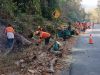 Lintas Sektor Bersihkan Pohon Rawan di Gunung Pegat, Jaga Keselamatan Pengguna Jalan