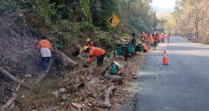 Lintas Sektor Bersihkan Pohon Rawan di Gunung Pegat, Jaga Keselamatan Pengguna Jalan