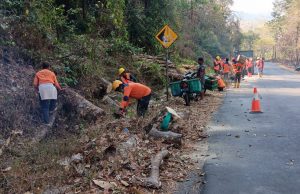 Lintas Sektor Bersihkan Pohon Rawan di Gunung Pegat, Jaga Keselamatan Pengguna Jalan