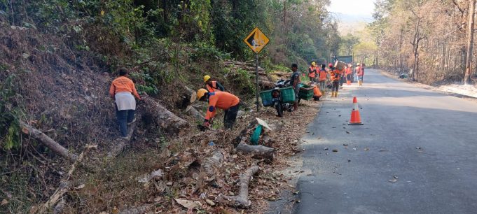 Lintas Sektor Bersihkan Pohon Rawan di Gunung Pegat, Jaga Keselamatan Pengguna Jalan
