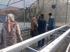 Delapan Kelompok Tani Pekalongan Kembangkan Melon Premium