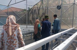 Delapan Kelompok Tani Pekalongan Kembangkan Melon Premium