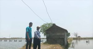 Kekeringan Ancam Kerugian Hampir Rp50 Miliar di Sektor Tambak Pati