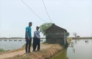 Kekeringan Ancam Kerugian Hampir Rp50 Miliar di Sektor Tambak Pati