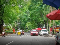 Bukan Cuma Kendaraan Bermotor, Jalur Sepeda di Jalan Pangsud Pati Juga Ikuti Aturan Satu Arah
