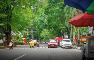 Bukan Cuma Kendaraan Bermotor, Jalur Sepeda di Jalan Pangsud Pati Juga Ikuti Aturan Satu Arah