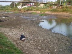 Debit Silugonggo Menyusut, Ribuan Sawah Pati Terancam Kekurangan Air