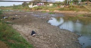 Debit Silugonggo Menyusut, Ribuan Sawah Pati Terancam Kekurangan Air
