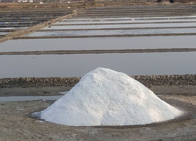 Kemarau Panjang Bawa Berkah, Produksi Garam di Lima Kecamatan Pati Tembus 181 Ribu Ton